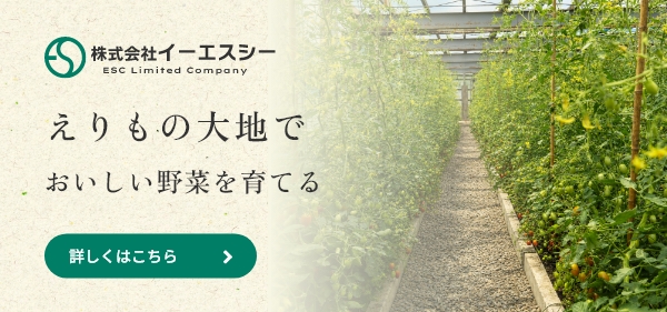 株式会社イーエスシー